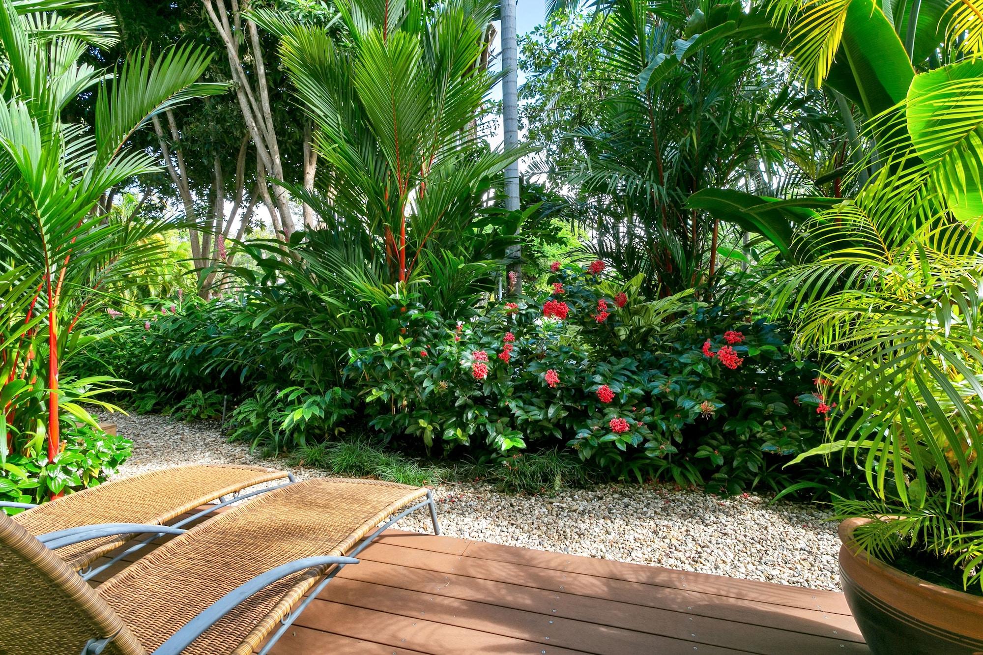 Port Douglas Apartments - Adults Only Oasis ภายนอก รูปภาพ