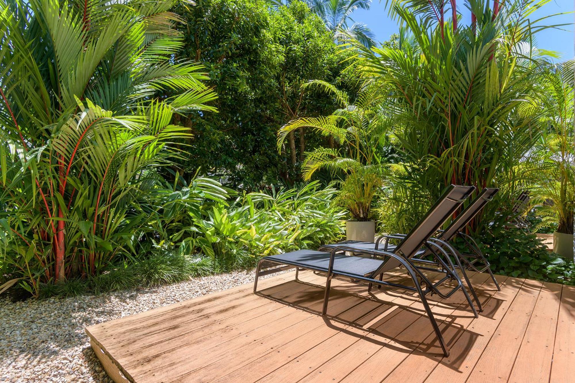 Port Douglas Apartments - Adults Only Oasis ภายนอก รูปภาพ